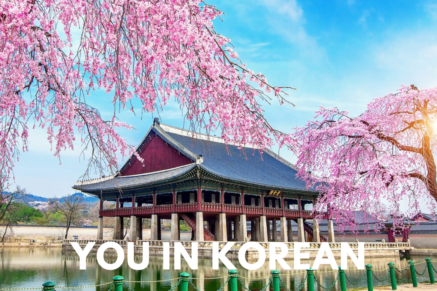 you in korean
