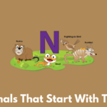 Animals That Start With The N