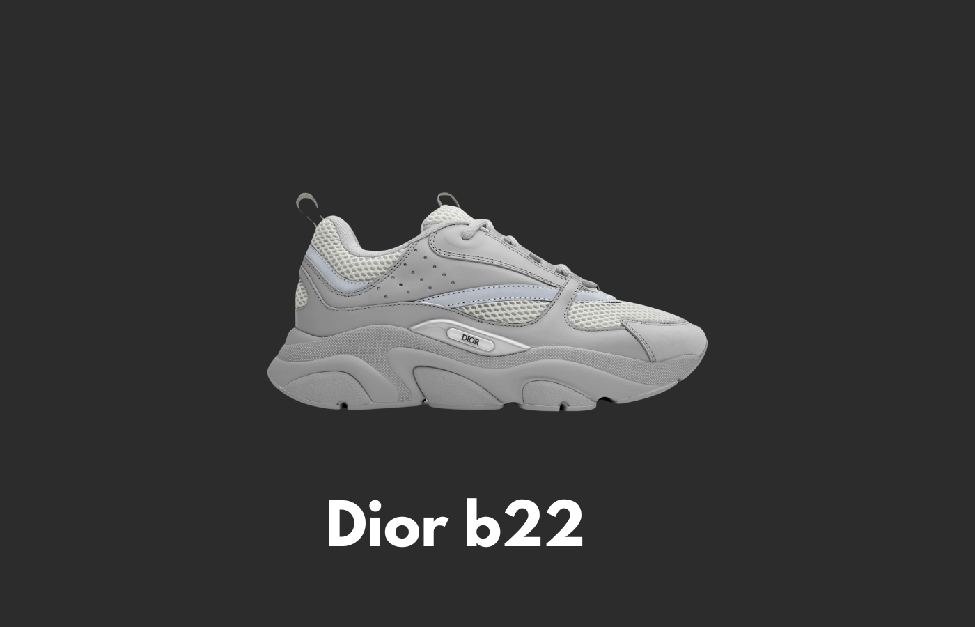 Dior b22