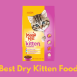 best dry kitten food