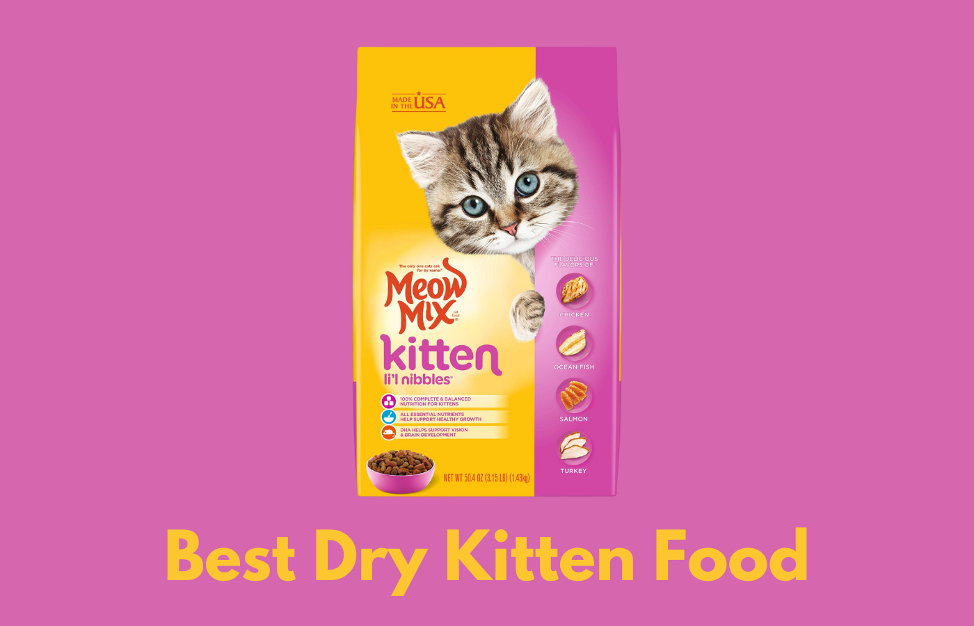 best dry kitten food