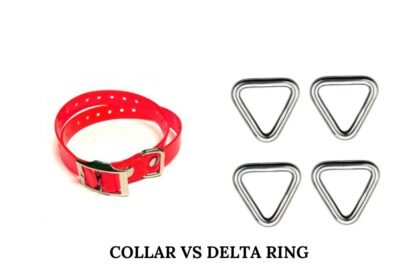 collar vs delta ring