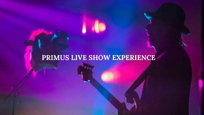 Primus Live Show Experience